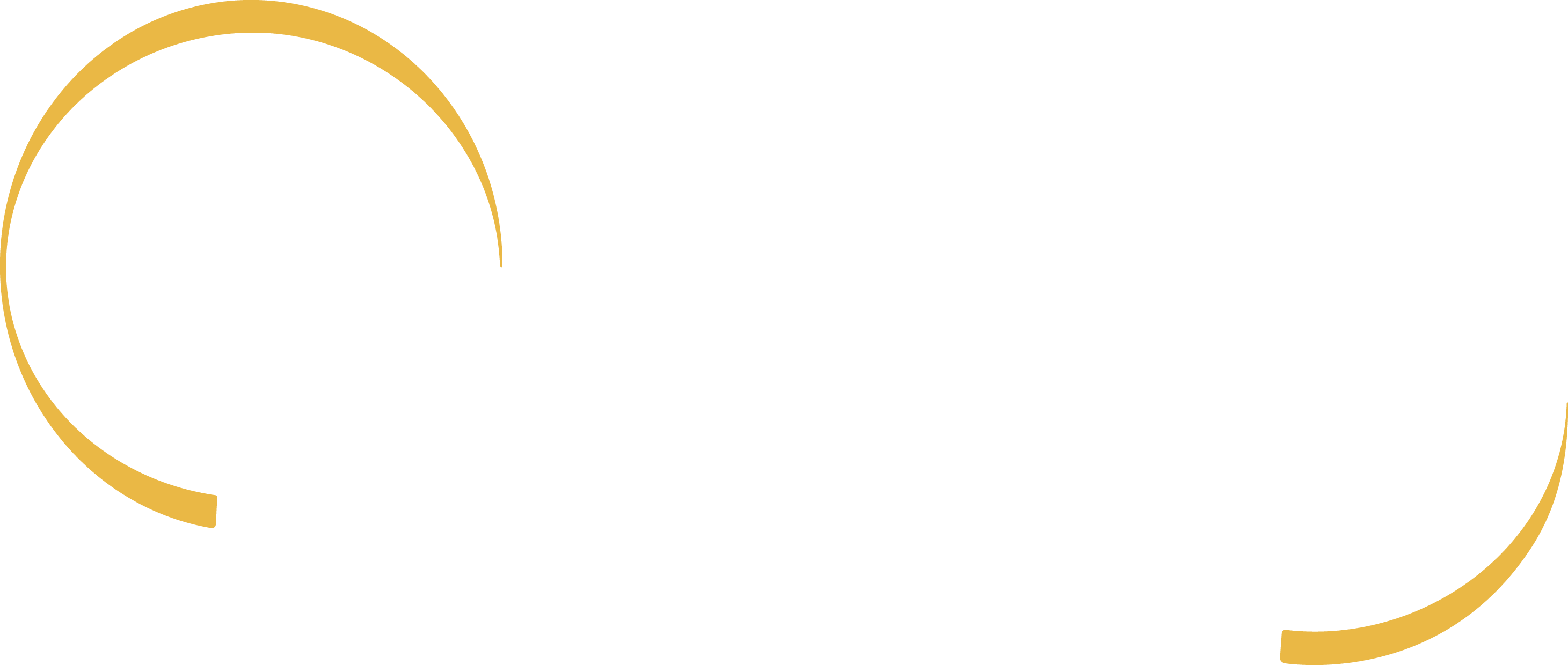 TruAssure logo